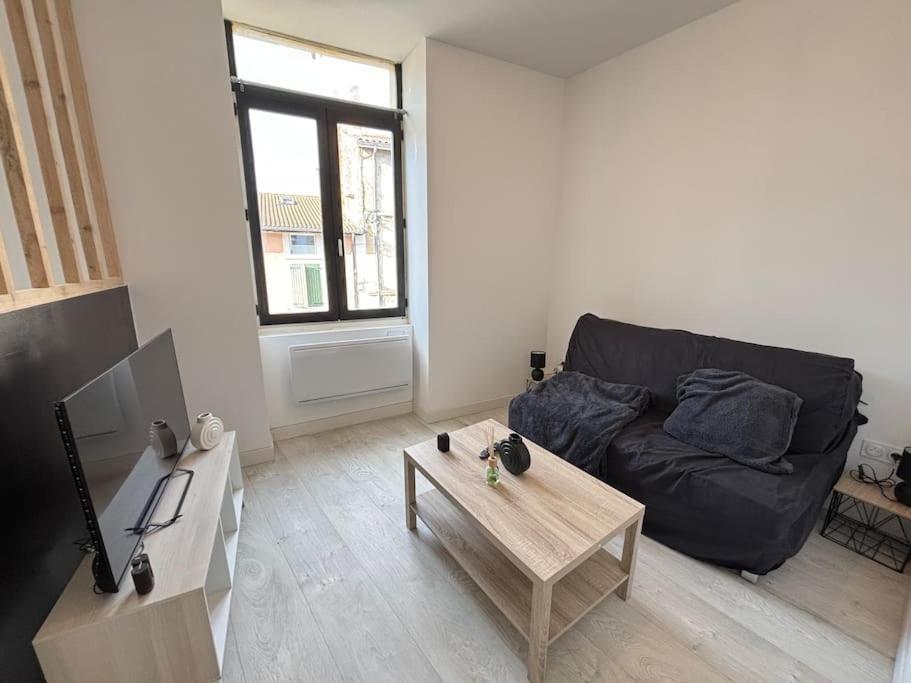 Studio Confortable Annonay Extérieur photo