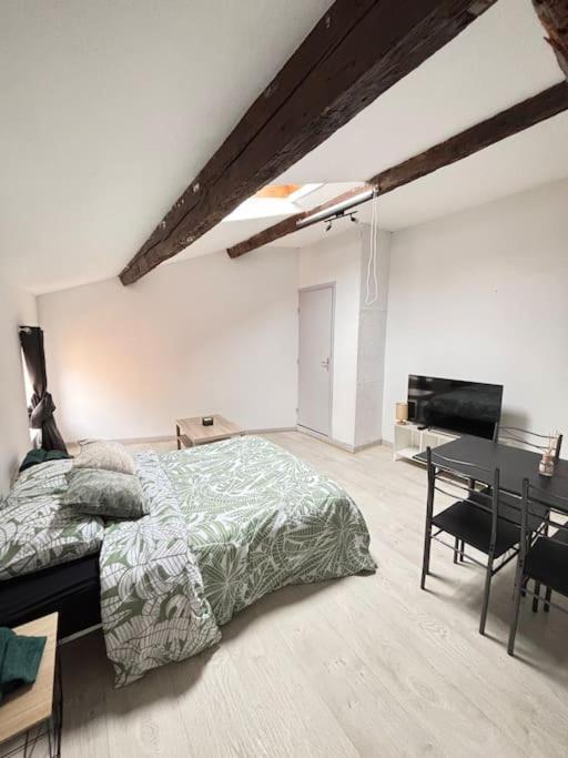 Studio Confortable Annonay Extérieur photo