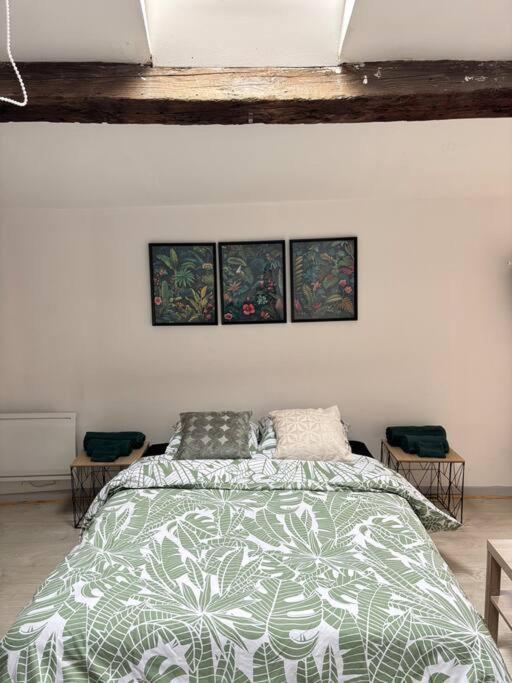 Studio Confortable Annonay Extérieur photo